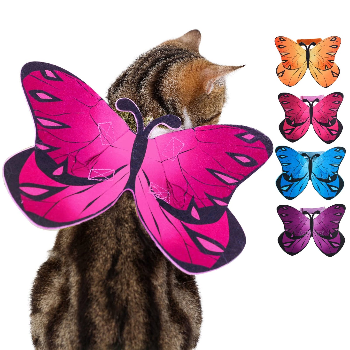 Butterfly Wings Halloween Costume for Dogs & Cats